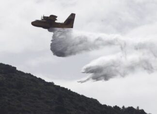 Φωτιά τώρα στην Τανάγρα – Επιχειρούν ισχυρές δυνάμεις