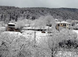Στα λευκά ντύθηκε η λίμνη Πλαστήρα- το πρώτο χιόνι στο πανέμορφο Νεοχώρι