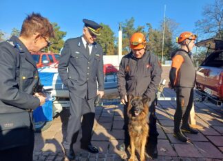 Λάρισα: Ο πυροσβεστικός σκύλος που ανακαλύπτει επιζώντες στα συντρίμμια και τα …drone (ΦΩΤΟ)
