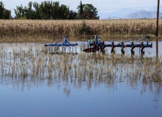 ΕΛΓΑ: Σήμερα Παρασκευή οι αποζημιώσεις 1,2 εκατ. ευρώ για τις κακοκαιρίες Daniel-Elias