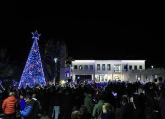 Φωταγωγεί το χριστουγεννιάτικο δέντρο της η Αγιά