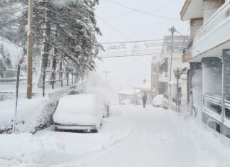 “Βουτηγμένο” στο χιόνι σήμερα δεύτερη μέρα Χριστουγέννων το Λιβάδι Ελασσόνας (ΦΩΤΟ)