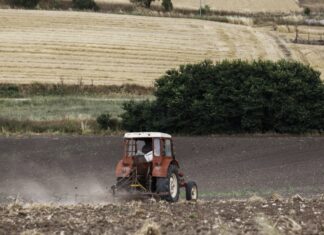 Θεσσαλία: Σε φάση μετάβασης ο αγροτικός τομέας – Στροφή στις ξηρικές καλλιέργειες