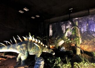 Το «Jurassic Park» από ρομπότ το δημιούργησε Λαρισαίος και κάνει πάταγο στο εξωτερικό – ΒΙΝΤΕΟ