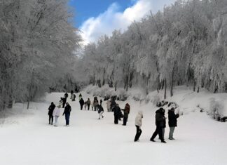 Πάρτι σήμερα στο Χιονοδρομικό Κέντρο Πηλίου