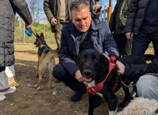 Άνοιξε τις πύλες του το πάρκο σκύλων στη Λάρισα – Είναι το πρώτο οργανωμένο στη Θεσσαλία (ΦΩΤΟ)