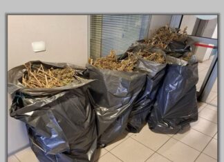 Σοβαρή υπόθεση με ναρκωτικά στην Λάρισα – Έπιασαν 41χρονο με 38 κιλά χασίς και όπλα