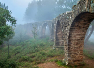 Δεν δίστασαν: Άφησαν την πόλη και εγκαταστάθηκαν στο «χωριό των καλλιτεχνών» της Λάρισας (video)