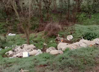 Εικόνες ντροπής, φρίκης και οργής με νεκρά πρόβατα δίπλα στον Τιταρήσιο
