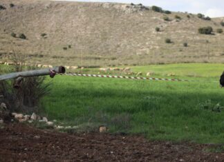 Τύρναβος: «Είναι το παιδί μας», λέει συγγενής του Βασίλη Καλογήρου για την σορό που εντοπίστηκε