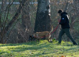 Αποκάλυψη για τη σορό του Βασίλη που βρέθηκε στον Τύρναβο: Η πρώτη εκτίμηση του ιατροδικαστή δείχνει πως δεν είναι εγκληματική ενέργεια