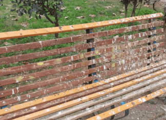 Λάρισα: Της… κουτσουλιάς στο πάρκο του Αγίου Αντωνίου! (ΦΩΤΟ)