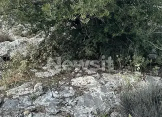 Βασίλης Καλογήρου: Σε αυτό το σημείο βρέθηκε η σορός του 39χρονου – Δύσκολα προσβάσιμο και 200 μέτρα από τη μονάδα όπου δούλευε ο κτηνοτρόφος που τον εντόπισε