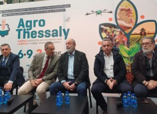 Εκδήλωση της περιφέρειας στην Agrothessaly για την δημιουργία της νέας φυλής προβάτου ΚάρΛα (ΦΩΤΟ)