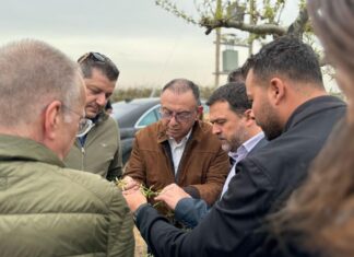 Μεγάλη η έκταση της ζημιάς στις δενδρώδεις λόγω του 48ωρου παγετού, εξετάζεται η προκαταβολή αποζημίωσης