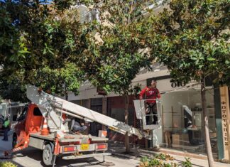 Λάρισα: Σήμερα, Κυριακή, οι εργασίες κλαδέματος σ’ αυτόν τον δρόμο – Παράκληση για μη στάθμευση οχημάτων στα σημεία