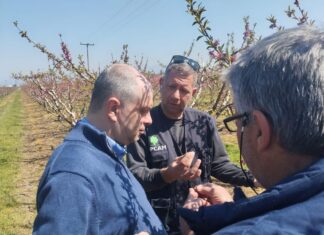 Καπετάνος: Άμεση κινητοποίηση για τις ζημιές από τον καταστροφικό παγετό