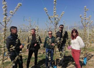 Λάρισα: Πολύ σοβαρές ζημιές από τον παγετό έδειξε η πρώτη αυτοψία