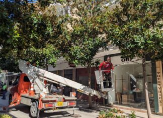 Λάρισα: Σήμερα Κυριακή να μην σταθμεύουν τα αυτοκίνητα σ’ αυτόν τον δρόμο λόγω εργασιών κλαδέματος