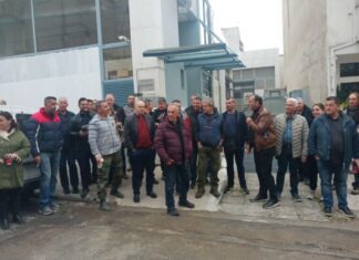 Σε απόγνωση λόγω παγετού αμυγδαλοπαραγωγοί της Λάρισας