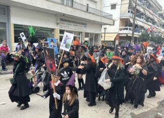 Χαμός και φέτος στο Φαρσαλινό καρναβάλι (ΦΩΤΟ)