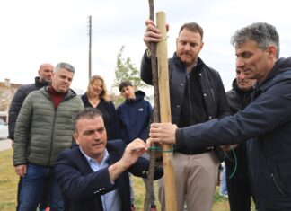 Πενήντα πέντε νέα δέντρα φυτεύτηκαν στην Γιάννουλη (ΦΩΤΟ)