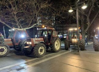 Ζημιές σε αρακά, κεράσια και καρύδια προκάλεσε ο νέος παγετός στην ΠΕ Λάρισας- σήμερα το βράδυ διαμαρτυρία αγροτών στη Λάρισα