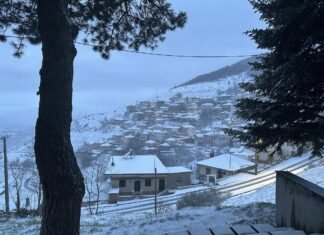 Άνοιξη «ντυμένη» στα λευκά: Χιονισμένο ξημέρωμα στα ορεινά της Λάρισας (ΦΩΤΟ – ΒΙΝΤΕΟ)