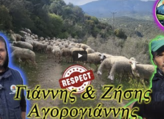 Λάρισα: Τα αδέρφια με τη δική τους φάρμα – Πώς έγιναν viral