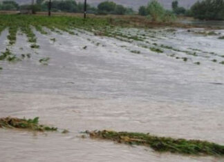 Μεγάλες καταστροφές από την ισχυρή βροχόπτωση στον Βρυότοπο: Πλημμυρισμένα χωράφια
