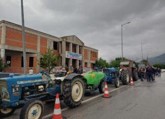 Συκούριο Λάρισας: Αμυγδαλοπαραγωγοί καλούν το υπουργείο «να δώσει άμεσα λύσεις στην αδικία, τον διαχωρισμό και τους αγρότες δύο ταχυτήτων» – ΦΩΤΟ