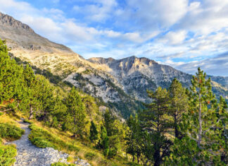 Συνδιοργανωτής στον ορεινό αγώνα «Karya Olympus Trail» ο δήμος Ελασσόνας