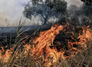 Λάρισα: Στο πόδι η Πυροσβεστική για φωτιά έξω από την πόλη