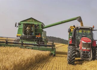 Στα 305 έως 310 ευρώ ανά τόνο «άνοιξε» η νέα σεζόν για το σκληρό σιτάρι στη Φότζια