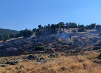 Φωτιά στα ορεινά της Λάρισας – Οι κάτοικοι βοήθησαν στην κατάσβεση – ΦΩΤΟ