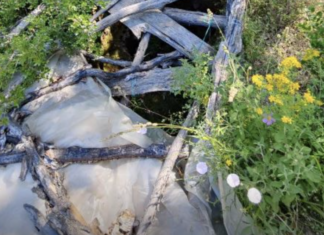 Έκαναν παράνομες ανασκαφές και έρευνες σε αρχαιολογικούς χώρους – 3 συλλήψεις – ΦΩΤΟ