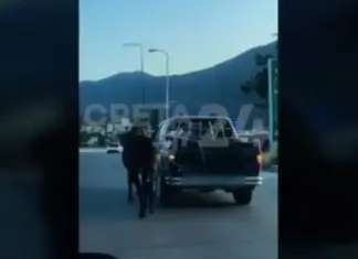 Οδηγός έδεσε άλογο με σχοινί και το έσερνε με αγροτικό – Το ζώο παραπατούσε και ήταν τρομαγμένο