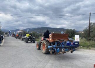 Συνάντηση με τους υπουργούς Αγροτικής Ανάπτυξης και Ενέργειας ζητά η Ομοσπονδία Αγροτικών Συλλόγων Λάρισας