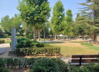 Λάρισα: Αγανάκτηση και οργή από τις μαζικές δηλητηριάσεις ζώων στον Άγιο Αντώνιο – ΦΩΤΟ/ΒΙΝΤΕΟ