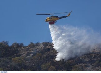 Τρίκαλα: Φωτιά σε δασική έκταση – Σηκώθηκαν και εναέρια μέσα