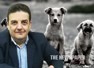 Βόλος: Θύμα επίθεσης αδέσποτου σκύλου ο πρώην πρόεδρος του Εμπορικού Συλλόγου – «Και εκεί που κάνεις τη δουλειά σου, ξαφνικά ένας σκύλος σε δαγκώνει…»