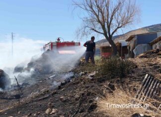 Λάρισα: Σε επιφυλακή ακόμα η Πυροσβεστική στο Βαθύρεμα Αγιάς για την φωτιά – Υπάρχουν αναζωπυρώσεις