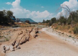 Τρίκαλα: Εικόνες αποκάλυψης στον Πηνειό (βίντεο)