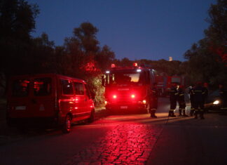 Αυτοκίνητο τυλίχθηκε στις φλόγες στο Πήλιο