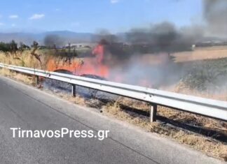 Λάρισα: Φωτιά στην είσοδο του Τυρνάβου – Στο σημείο η Πυροσβεστική, κλειστή η κυκλοφορία – ΦΩΤΟ/ΒΙΝΤΕΟ