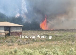 Συναγερμός για φωτιά έξω από τη Λάρισα – ΦΩΤΟ