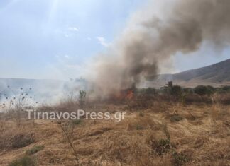 Φωτιά στον Τύρναβο: Διάσπαρτες εστίες – Απειλήθηκε αγροικία