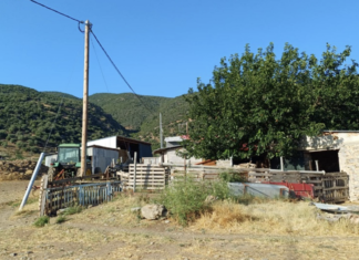 Λάρισα: Το κλάμα της κτηνοτρόφου στο Καλαμάκι για τα ζώα της που οδηγούνται σήμερα σε θανάτωση λόγω ευλογιάς (ΦΩΤΟ)