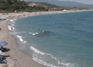 Αγιόκαμπος Λάρισας: Βουτιές σε κρυστάλλινα νερά για όλους με ναυαγοσώστες και ράμπα πρόσβασης για ΑμεΑ