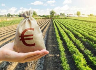 Ο ΕΛΓΑ διαψεύδει τα περί σκανδάλου στις αποζημιώσεις για την κακοκαιρία Daniel